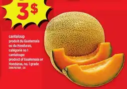 Maxi CANTALOUP offer