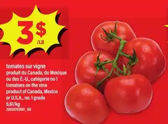 Maxi TOMATES SUR VIGNE | TOMATOES ON THE VINE offer