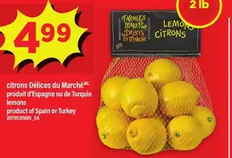 Maxi CITRONS DÉLICES DU MARCHÉ | LEMONS, 2 lb offer