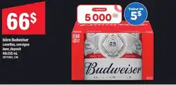 Maxi BIÈRE BUDWEISER, 48X355 ML offer