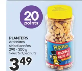 Brunet PLANTERS Arachides sélectionnées offer