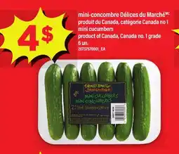 Maxi MINI-CONCOMBRE DÉLICES DU MARCHÉ offer