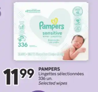 Brunet PAMPERS Lingettes sélectionnées offer