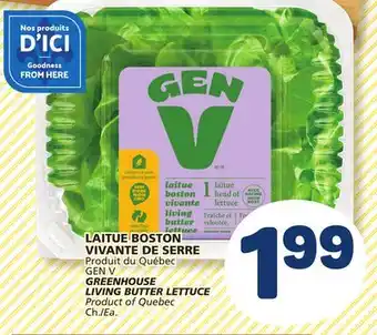 Marché Bonichoix GEN V GREENHOUSE LIVING BUTTER LETTUCE offer