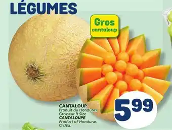 Marché Bonichoix CANTALOUPE offer