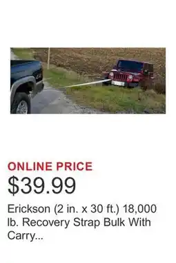 Costco Erickson (2 in. x 30 ft.) 18,000 lb. Recovery Strap Bulk With Carry Bag offer