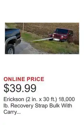 Costco Erickson (2 in. x 30 ft.) 18,000 lb. Recovery Strap Bulk With Carry Bag offer