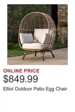 Costco Elliot Outdoor Patio Egg Chair offer