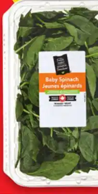 Walmart Your Fresh Market Salad Greens offer