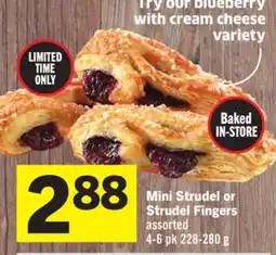 Foodland Mini Strudel or Strudel Fingers offer