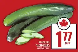 Food Basics SEEDLESS CUCUMBERS offer