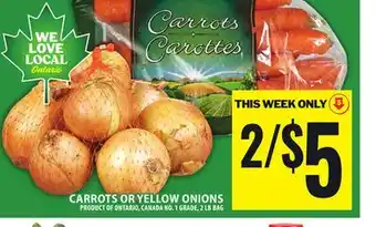 Food Basics CARROTS OR YELLOW ONIONS offer