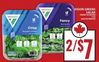 Food Basics VISION GREENS SALAD offer