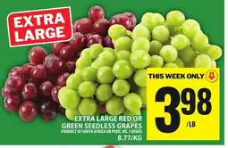 Food Basics EXTRA LARGE RED OR GREEN SEEDLESS GRAPES offer