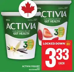 Food Basics ACTIVIA YOGURT offer