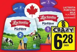 Food Basics LACTANTIA PURFILTRE MILK offer