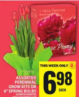 Food Basics ASSORTED PERENNIAL GROW KITS OR 6 SPRING BULBS offer