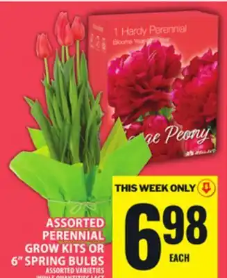 Food Basics ASSORTED PERENNIAL GROW KITS OR 6 SPRING BULBS offer