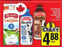 Food Basics LACTANTIA LACTOSE FREE OR ULTRA PUR MILK offer