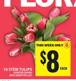 Food Basics 10 STEM TULIPS offer