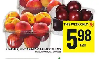 Food Basics PEACHES, NECTARINES OR BLACK PLUMS offer