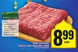 Food Basics NEW ZEALAND FRESH LEAN GROUND LAMB offer