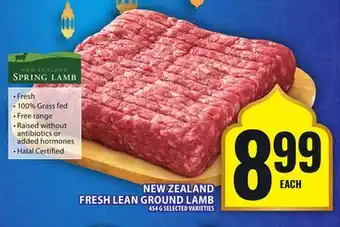 Food Basics NEW ZEALAND FRESH LEAN GROUND LAMB offer