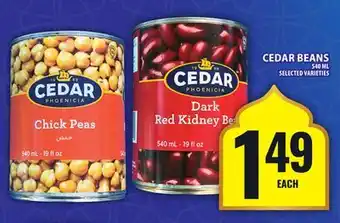 Food Basics CEDAR BEANS offer