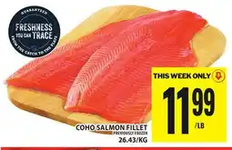 Food Basics COHO SALMON FILLET offer