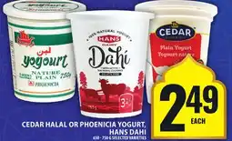 Food Basics CEDAR HALAL OR PHOENICIA YOGURT, HANS DAHI offer