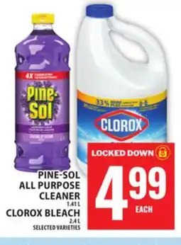 Food Basics PINE-SOL ALL PURPOSE CLEANER OR CLOROX BLEACH offer