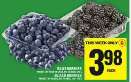 Food Basics BLUEBERRIES OR BLACKBERRIES offer