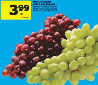 Real Canadian Superstore RED OR GREEN SEEDLESS GRAPES offer