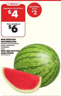 Independent Grocer MINI SEEDLESS WATERMELONS, EACH offer