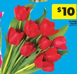 Real Canadian Superstore 10 STEM TULIPS offer