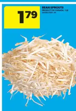 Real Canadian Superstore BEAN SPROUTS, 1 LB offer