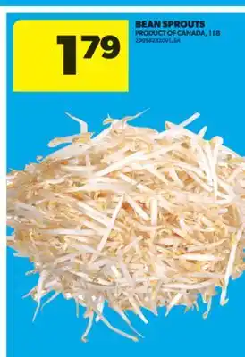 Real Canadian Superstore BEAN SPROUTS, 1 LB offer