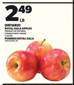 Independent Grocer ONTARIO ROYAL GALA APPLES offer