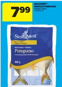 Real Canadian Superstore SEAQUEST WHOLE POMPANO, 800 G offer