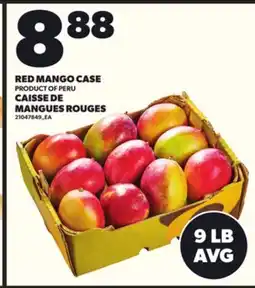 Independent Grocer RED MANGO CASE offer