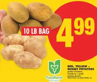 No Frills RED, YELLOW or RUSSET POTATOES, 10 LB BAG offer