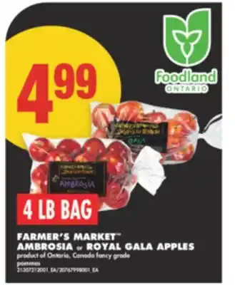 No Frills FARMER'S MARKET AMBROSIA or ROYAL GALA APPLES, 4 LB BAG offer