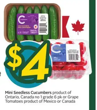 Sobeys Mini Seedless Cucumbers Ontario, Canada 1 grade offer