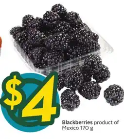 Sobeys Blackberries product of Mexico 170 g offer