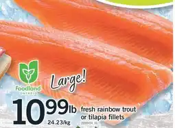 Fortinos FRESH RAINBOW TROUT OR TILAPIA FILLETS offer