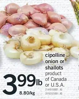 Fortinos CIPOLLINE ONION OR SHALLOTS offer