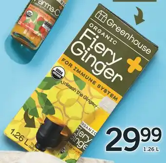 Fortinos FIERY GINGER, 1.26 L offer