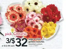 Fortinos LARGE OR MINI GERBERA BUNCHES offer