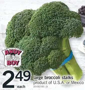 Fortinos LARGE BROCCOLI STALKS offer