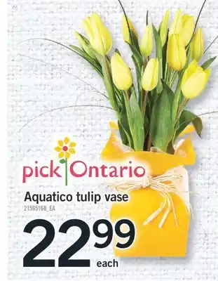 Fortinos AQUATICO TULIP VASE offer